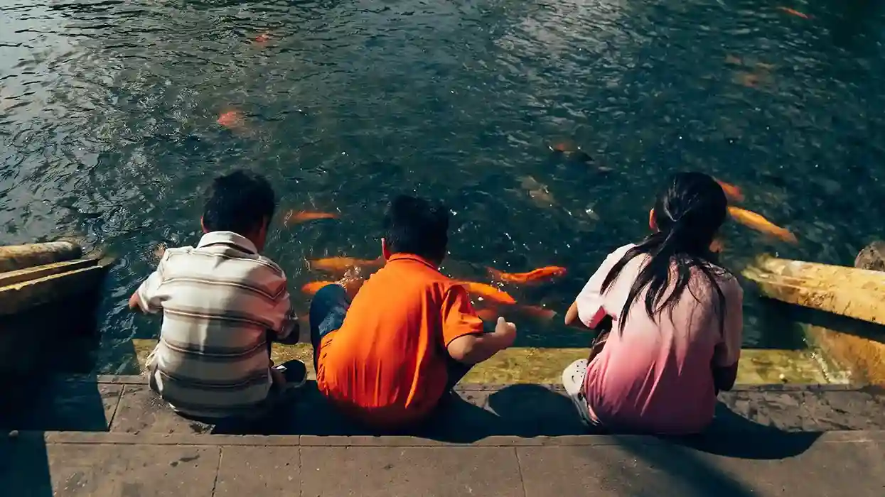 Lana Lubany live on stage